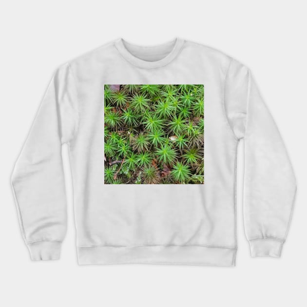 Green Common Haircap Moss Crewneck Sweatshirt by DesignMore21